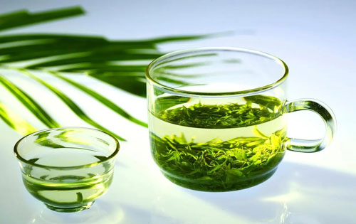 尿酸高可以喝茶嗎
